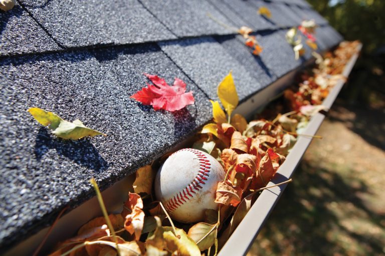 GUTTER clogged baseball 768x512