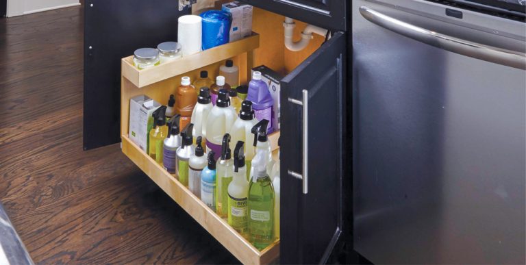 Lori Smith under sink 0019 EDIT 2 768x387
