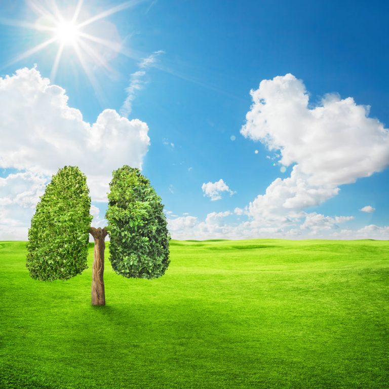 iStock 868841952 768x768