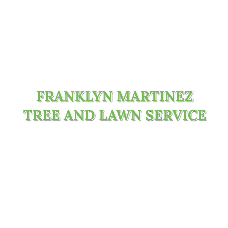 FranklynMartinezTree 768x768